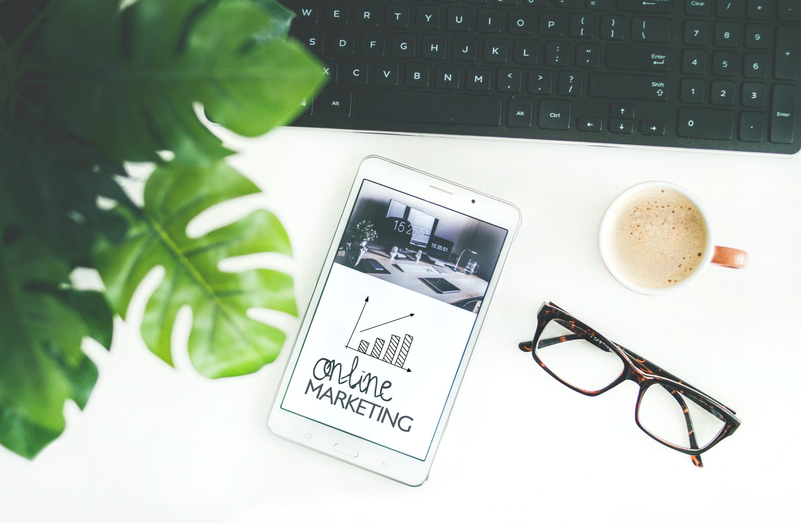 pexels-dominika-roseclay-905163 digital marketing